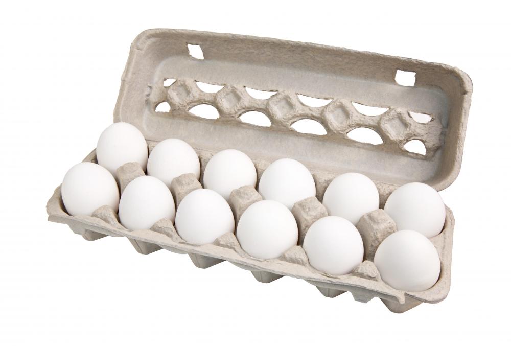 Dozen-Eggs.jpg